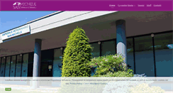 Desktop Screenshot of ospedalesanmichele.it